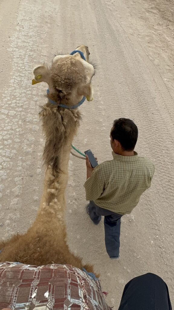マラケシュアガファイ砂漠のラクダ乗り体験